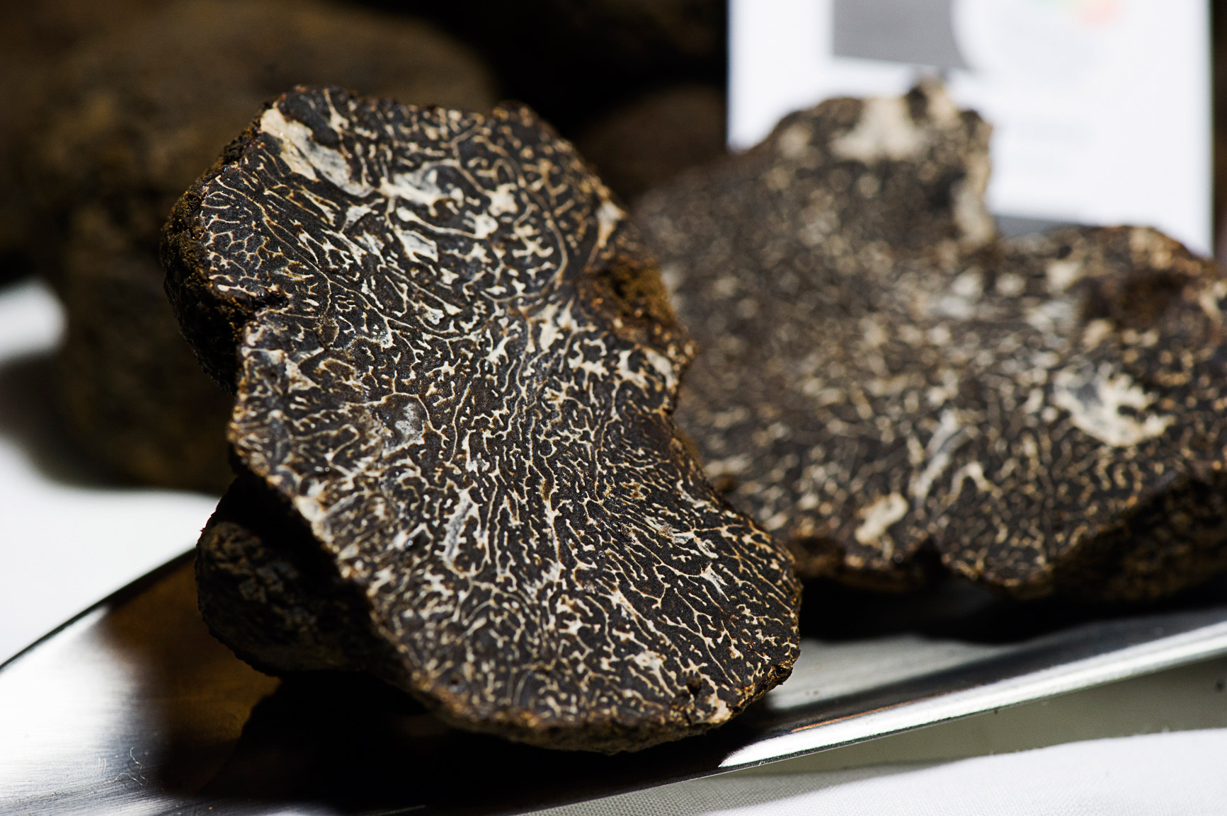Exhibition of the Black Truffle of the Maestrat